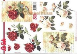 Rosen auf Brief LE SUH 4169724